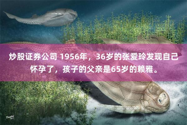 炒股证券公司 1956年，36岁的张爱玲发现自己怀孕了，孩子的父亲是65岁的赖雅。