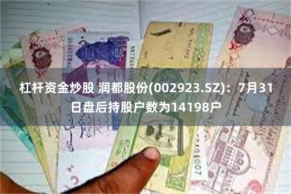 杠杆资金炒股 润都股份(002923.SZ)：7月31日盘后持股户数为14198户