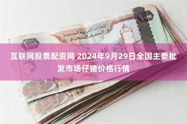 互联网股票配资网 2024年9月29日全国主要批发市场仔猪价格行情