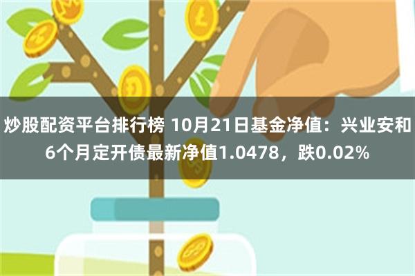 炒股配资平台排行榜 10月21日基金净值：兴业安和6个月定开债最新净值1.0478，跌0.02%