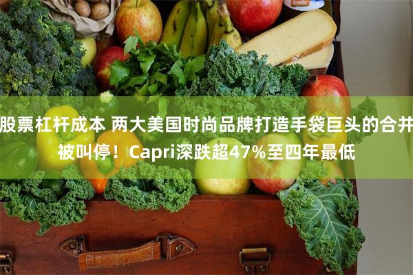 股票杠杆成本 两大美国时尚品牌打造手袋巨头的合并被叫停！Capri深跌超47%至四年最低