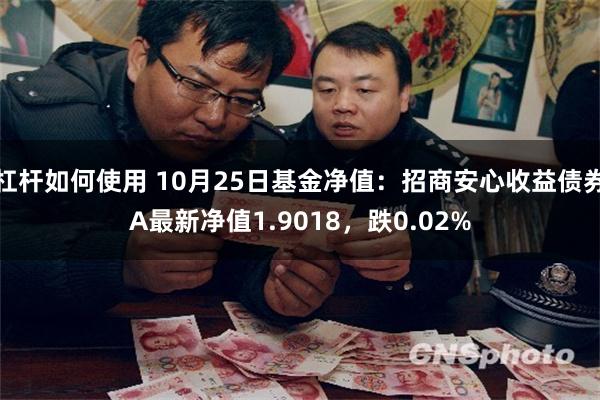 杠杆如何使用 10月25日基金净值：招商安心收益债券A最新净值1.9018，跌0.02%