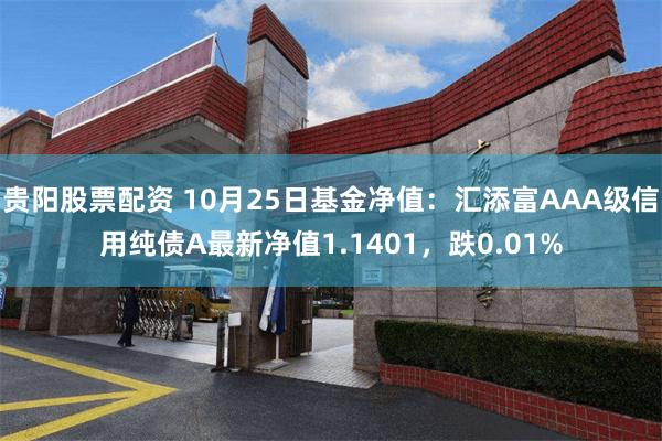 贵阳股票配资 10月25日基金净值：汇添富AAA级信用纯债A最新净值1.1401，跌0.01%