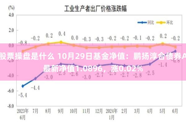 股票操盘是什么 10月29日基金净值：鹏扬淳合债券A最新净值1.0896，涨0.02%