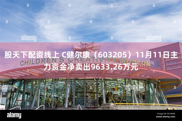 股天下配资线上 C健尔康（603205）11月11日主力资金净卖出9633.26万元