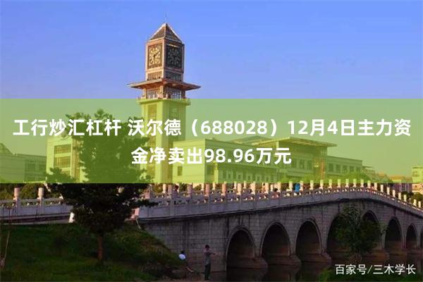 工行炒汇杠杆 沃尔德（688028）12月4日主力资金净卖出98.96万元