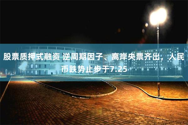 股票质押式融资 逆周期因子、离岸央票齐出，人民币跌势止步于7.25