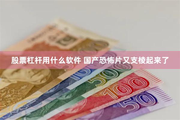 股票杠杆用什么软件 国产恐怖片又支棱起来了