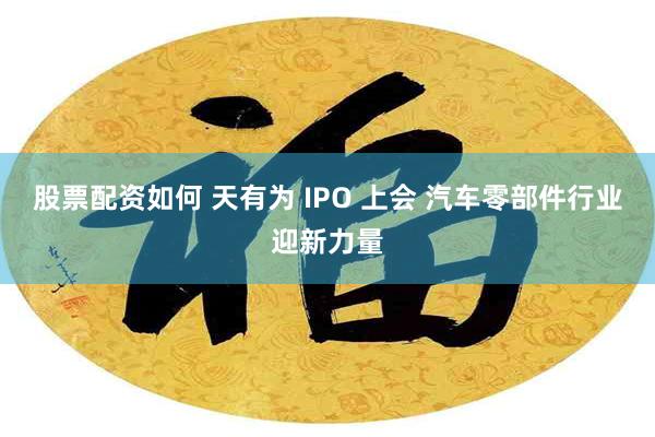 股票配资如何 天有为 IPO 上会 汽车零部件行业迎新力量