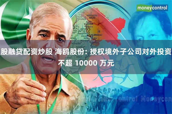 股融贷配资炒股 海鸥股份: 授权境外子公司对外投资不超 10000 万元