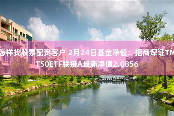 怎样找股票配资客户 2月24日基金净值：招商深证TMT50ETF联接A最新净值2.0856